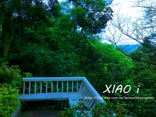 白云山之旅