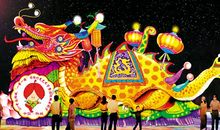 绽放出不一样的光