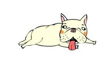 藏在扫把里的爱