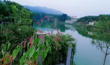 读你千遍不厌倦