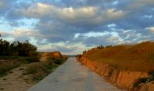 亲情是一条永不枯竭的河