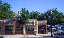 有趣的乡下见闻