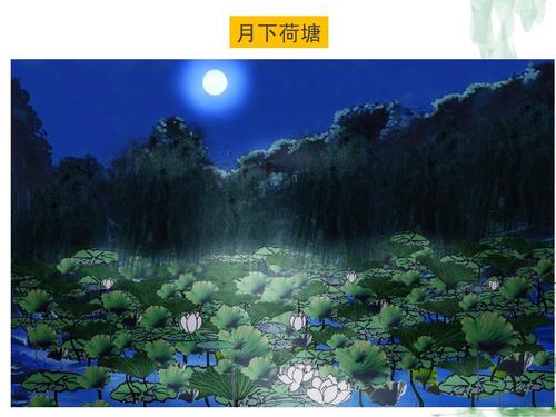 荷花池下的月亮