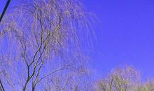 那一抹，青春的光景