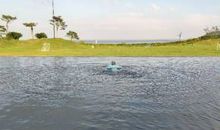 书虫“林黛玉”