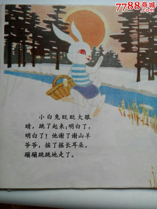 小白兔子长白菜
