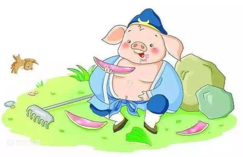 学习滑板的故事