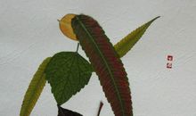 有趣的树叶拼图