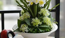 生活中的那些花