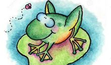 青蛙眼睛的秘密