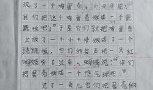 二年级作文万能蛋壳