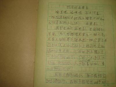 写鸟的作文