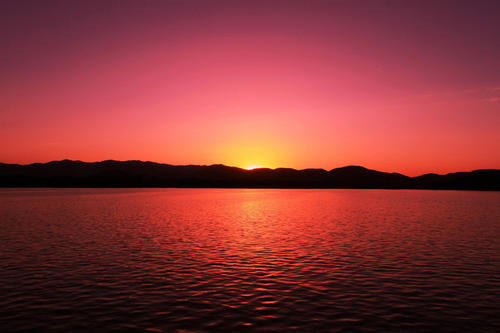 夕阳红