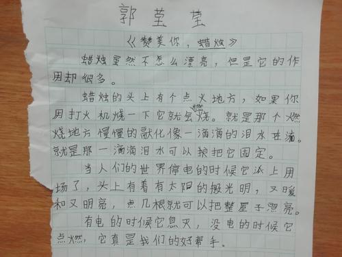 动物造型小练习笔