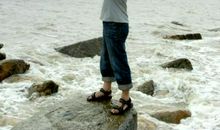 菊花深处的幸福与悲泣