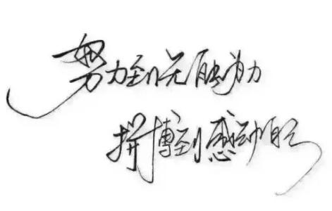 一个感动我的人