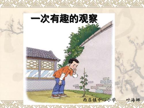 一个有趣的观察