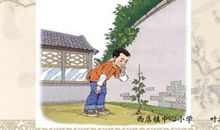 一次有趣的观察