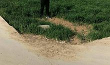 厚积薄发天道酬勤