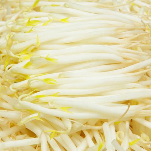 小豆芽