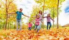 漫步在秋天的公园中