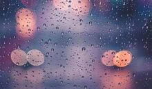 集中目标终有收获