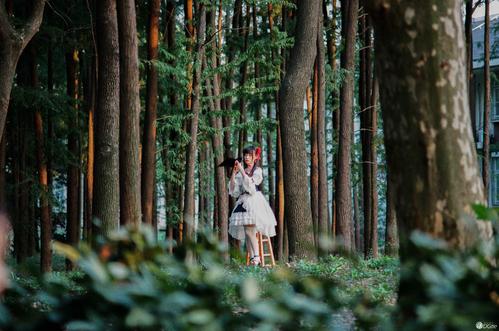 回顾我的每周生活