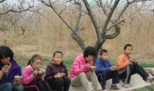 一堂有趣的花生课