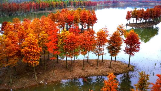 你是我冬天的温暖阳光