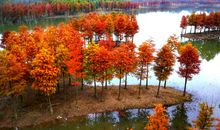 你是我冬日的一抹暖阳