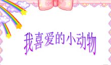 最喜欢的小动物