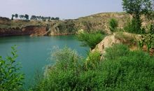 藏在心里的那一片碧绿