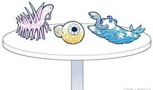 假如我会动物的语言