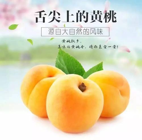 黄桃