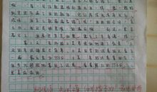 不止一次我努力尝试作文600字