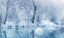 冬日的小雪作文