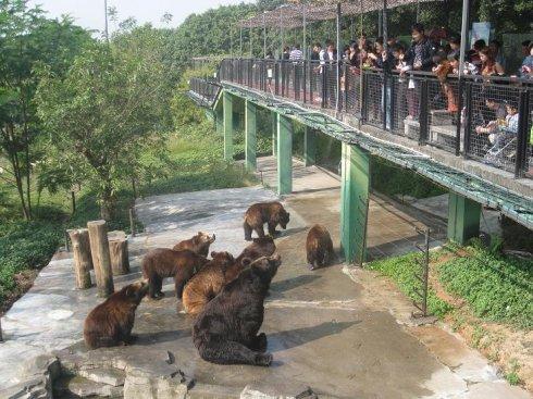 参观动物园
