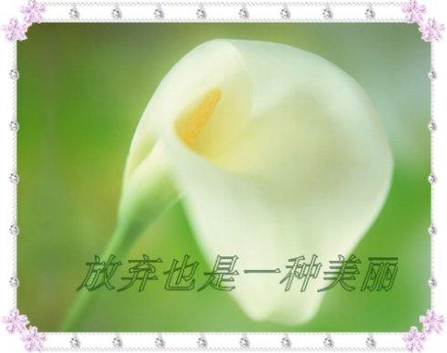 事实证明，放弃也是一种智慧