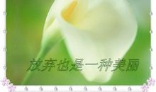 原来放弃也是一种智慧