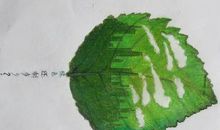 奋发向上崇德向善