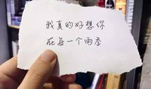 你努力的样子最美