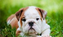 友善是一种力量