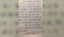 自我介绍作文500字