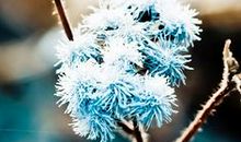 难忘彼时花开花落