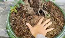 成长在不经意间