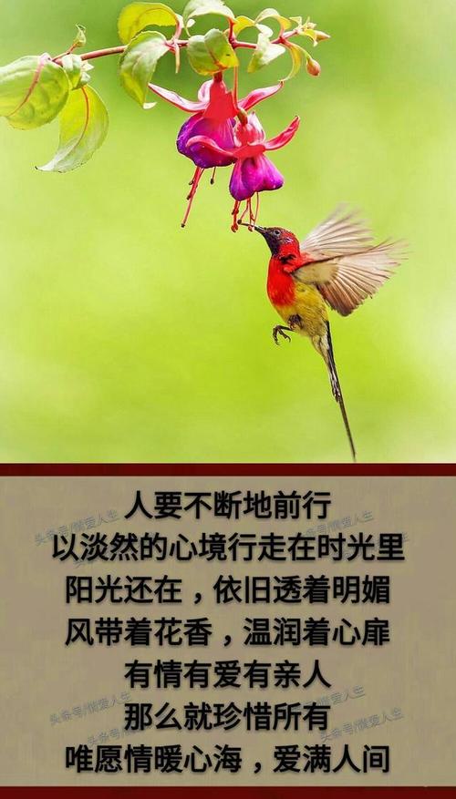 爱男人