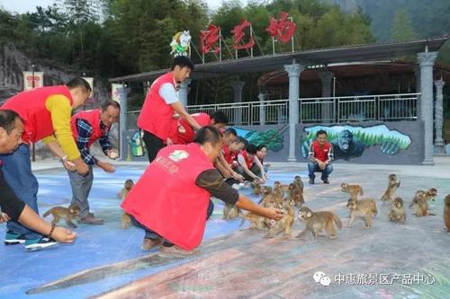 荡秋千的西游记