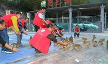 秋千上的西游记