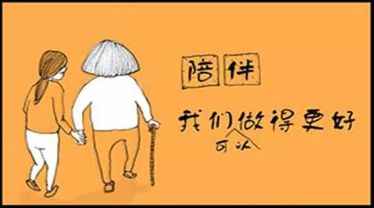 伴侣使生活更美好