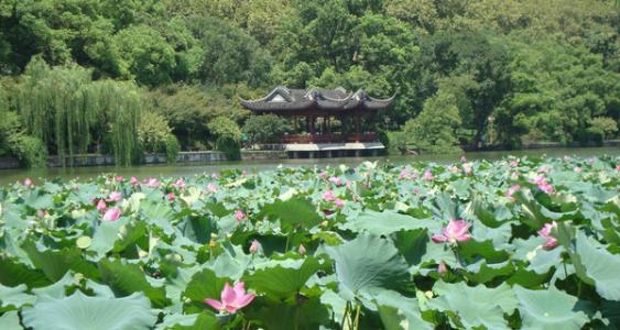 美丽的西湖公园
